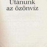Utánunk az özönvíz. Szerk.: Dobos Lídia, Rácz Judit, Vit László. Bp., 1989., Duna Kör, ELTE-ÁJTK Politikatudományi Tanszékcsoport. A borító Maurer Dóra munkája. Kiadói papírkötés. Benne különféle nyomtatványokkal, közte - Image 2