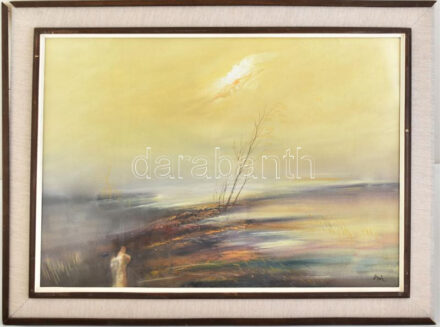 Csuta György (1952-): Éjszaka. Olaj, farost, jelzett. Hátoldalán Képcsarnok Vállalat címkéjével, mely szerint 1992-ben szerepelt a festőművész az egri Rudnay Teremben rendezett egyéni kiállításán. Üvegezett fakeretben, 50×70 cm