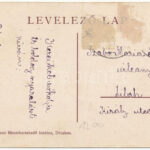 1922 Désakna, Ocna Dejului; Bobovszky József udvartára és szőlője. Moskovitz Vilmos kiadása / manor and vineyard (EK) - Image 2