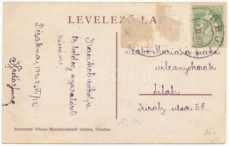 1922 Désakna, Ocna Dejului; Bobovszky József udvartára és szőlője. Moskovitz Vilmos kiadása / manor and vineyard (EK) - Image 2