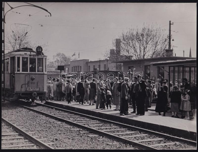 1957 Vasárnap délelőtt a szabadsághegyi fogaskerekű vasút végállomásánál, az 58-as villamossal, fotó, hátoldalon feliratozva, szép állapotban, 18×23cm