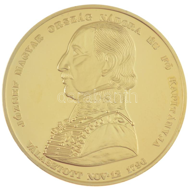Josef Daniel Boehm (1794-1865) 1846. 'József nádor 50 éves nádori jubileum' emlékérem aranyozott Cu utánverete kapszuilában (45mm) T:PP