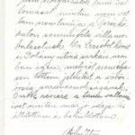 1919 Budapesti Villamos Városi Vasút Rt. dokumentuma elütött emberről - Image 2