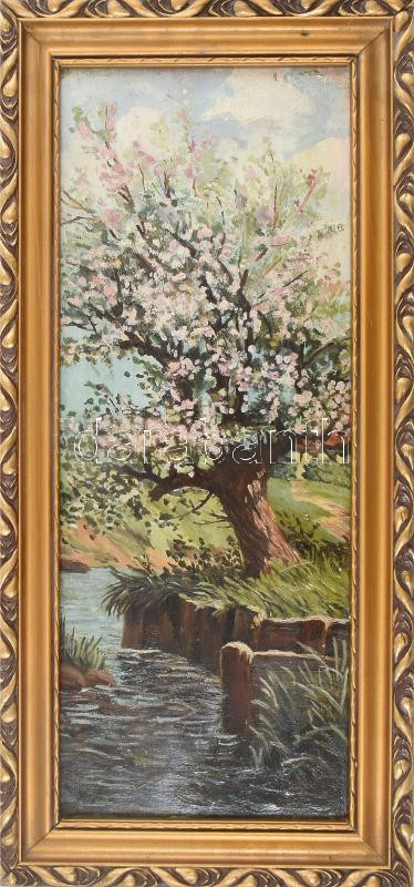 Szinyei jelzéssel. Virágzás. Olaj, vászon. 50x20 cm. Dekoratív fakeretben.