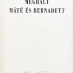 Gőgös Károly: Meghalt Máté és Bernadett. DEDIKÁLT! Szombathely, 1988, Sylvester János. Kiadói papírkötés.