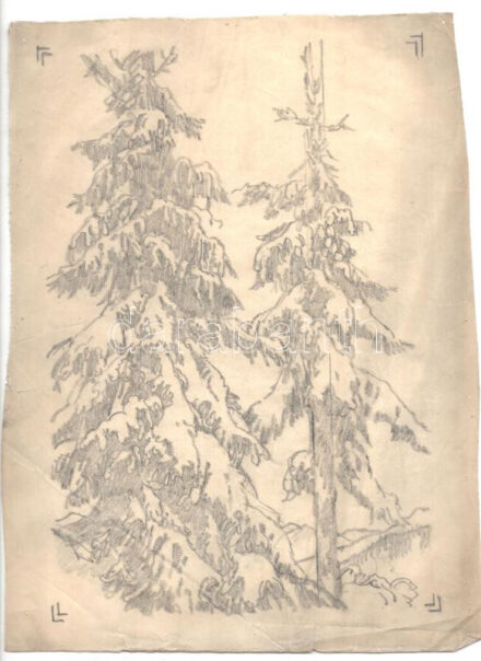 Muhits Sándor (1882-1956): Fenyők. Ceruza, pauszpapír, jelzés nélkül, sérült. 39×28,5 cm.