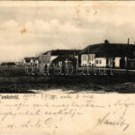 1904 Tenke, Tinca; Fő utca, Ritter Jakab üzlete. Schlesinger Károly kiadása / main street, shops (fl)