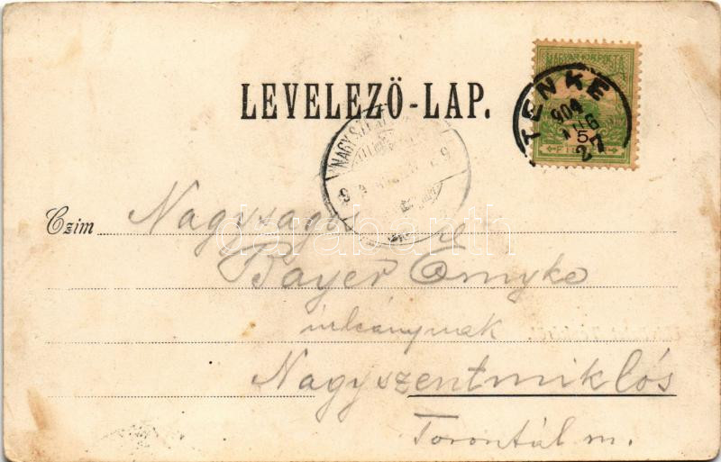 1904 Tenke, Tinca; Fő utca, Ritter Jakab üzlete. Schlesinger Károly kiadása / main street, shops (fl) - Image 2