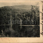 Felsőbánya, Baia Sprie; Bódi tó. Túry József amatőr felvétele. Szabó Károly kiadása / Lacul Pinthea / lake (b)