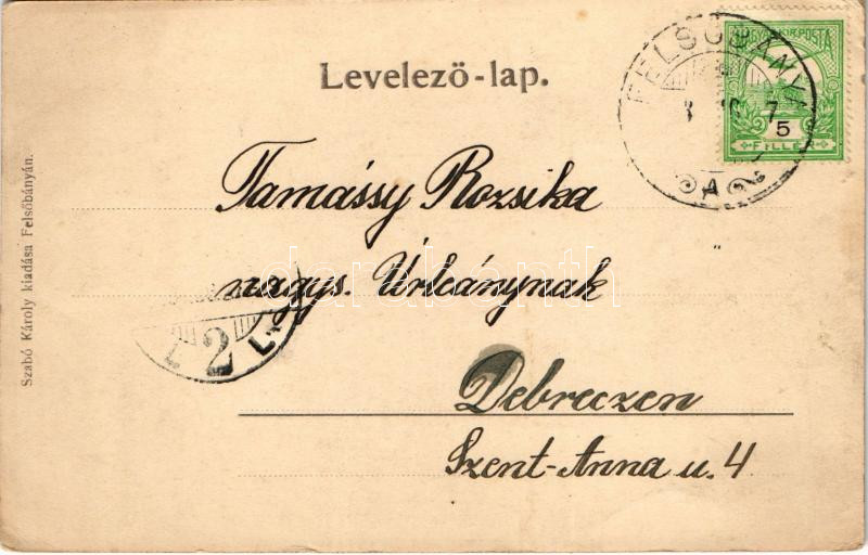 Felsőbánya, Baia Sprie; Bódi tó. Túry József amatőr felvétele. Szabó Károly kiadása / Lacul Pinthea / lake (b) - Image 2