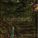 Felsőbánya, Baia Sprie; Nyugati árok (11000 méter erdei séta út). Túry József amatőr felvétele. Szabó Károly kiadása / road, forest (Rb)