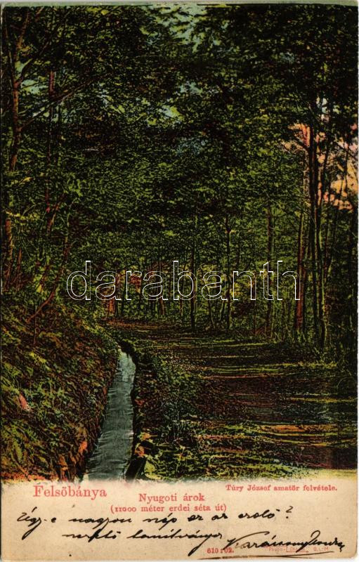 Felsőbánya, Baia Sprie; Nyugati árok (11000 méter erdei séta út). Túry József amatőr felvétele. Szabó Károly kiadása / road, forest (Rb)