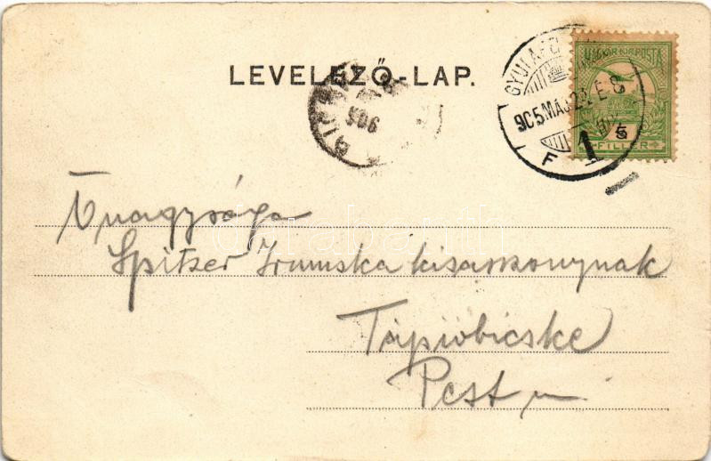 1905 Gyulafehérvár, Karlsburg, Alba Iulia; látkép. Petri F. Vilmos kiadása / general view (EM) - Image 2