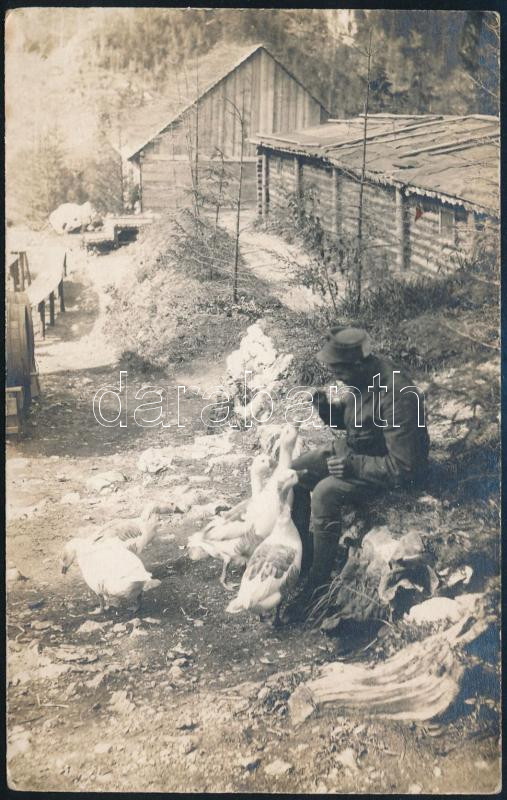 cca 1917 A cs. és kir. 105. gyalogezred (K.u.K. Infanterie-Regiment 105.) katonája libákat etet, tábori életkép a Keleti-Kárpátokban (Erdély, Hagymás-hegység, Békás-szoros közelében), I. világháborús fotólap, hátoldalán