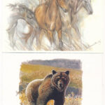 ÁLLATOK - 15 db modern használatlan képeslap / ANIMALS - 15 modern unused postcards