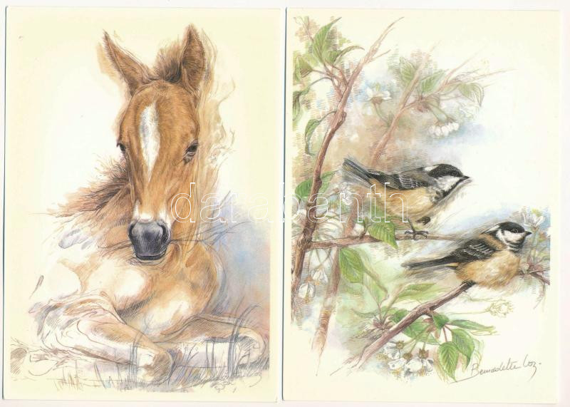 ÁLLATOK - 15 db modern használatlan képeslap / ANIMALS - 15 modern unused postcards - Image 2