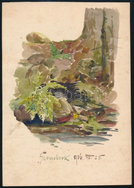 Ócsvár Rezső (1877-1968): Szomolnoki erdő, 1906. Akvarell, papír, jelzés nélkül, Ócsvár Rezső autográf datálásával és helymeghatározásával, 22,5x16 cm. A festő Szomolnokon született 1877-ben! / watercolour on paper, unsigned,