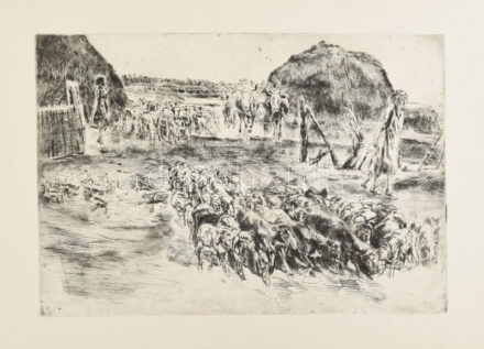 Aszódi Weil Erzsébet (1901-1976): Birkanyáj (cím nélkül). Rézkarc, papír. Jelzés nélkül. 27,5x39,5 cm