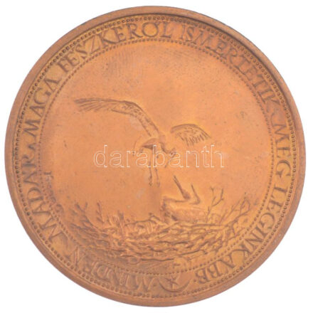 Józsa Gábor (1955-) 1985. 'XX. Országos Ifjúsági Képzőművész Tábor Mártély / Minden madár maga fészkéről ismertetik meg leginkább' kétoldalas bronz emlékérem (42,5mm) T:1-