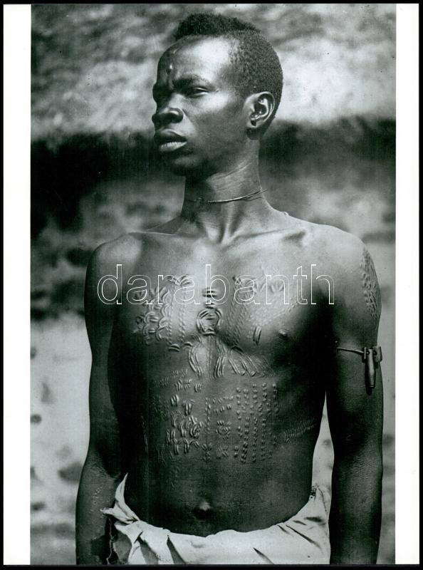 cca 1940 Afrika, Elefáncsontpart, 6 db modern nagyítás a néhai Lapkiadó Vállalat fotófotólaborjának archívumából, 10x15 cm és 23,8x17,7 cm - Image 2