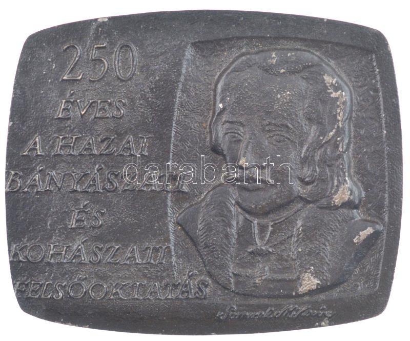 1985. '250 éves a hazai bányászati és kohászati felsőoktatás - Samuel Mikoviny' bronz emlékplakett (107x88mm) T:2