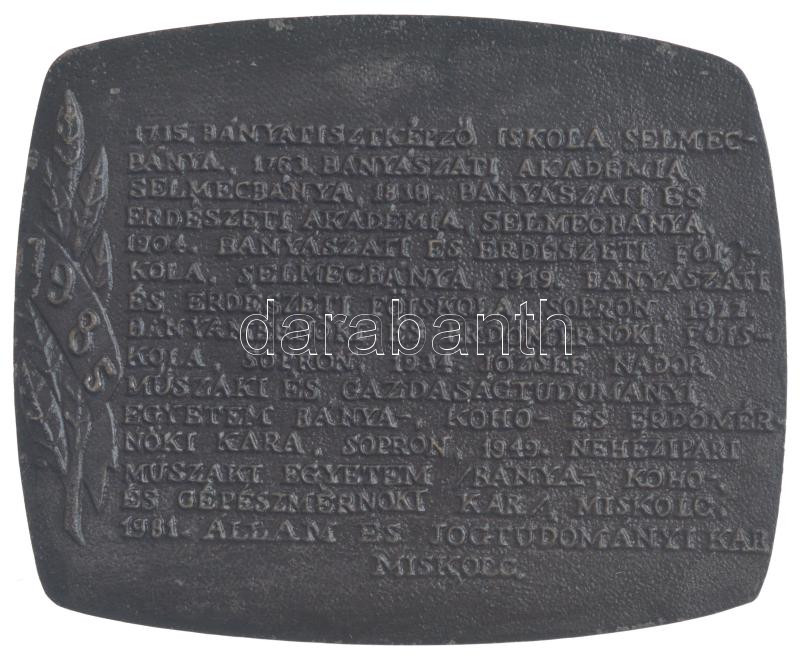 1985. '250 éves a hazai bányászati és kohászati felsőoktatás - Samuel Mikoviny' bronz emlékplakett (107x88mm) T:2 - Image 2