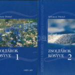 Ablonczy Dániel: Zsoltárok könyv 1-2. köt. Bp., 2004., Open Art. Kiadói papírkötés.