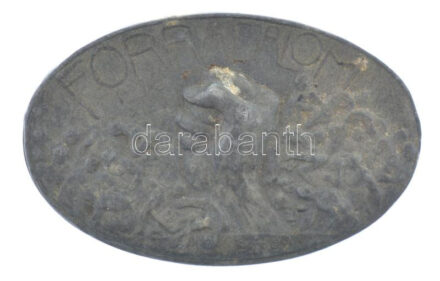 Sződy Szilárd (1878-1939) 1918. 'Forradalom 1918. X. 31.' Zn emlékérem (50x32mm) T:1- patina