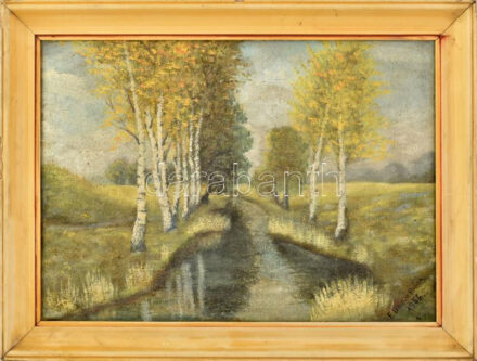 Olvashatatlan jelzéssel: Vízparti táj. Olaj, vászon. fakeretben. 38x54 cm