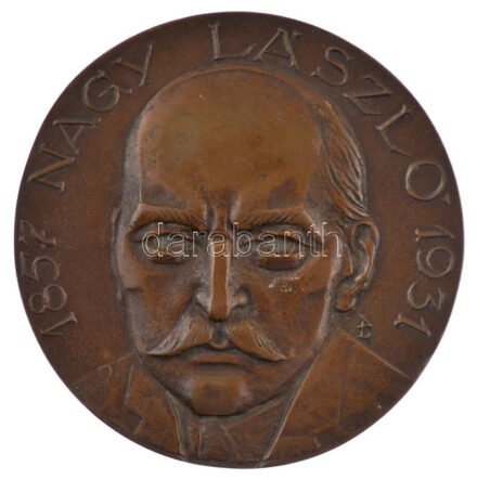 Asszonyi Tamás (1942-) 1982. 'Nagy László 1857-1931 / A kiváló gyermek pedagógus és pszichológus születése 125. évfordulójára 1982' kétoldalas bronz emlékérem (110mm) T:1-