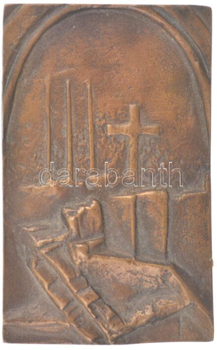 DN '25 éves a Somogyiak Baráti Köre' egyoldalas bronz emlékplakett (90x55mm) T:1-