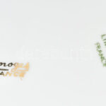 Limoges francia lapostányér, 6 db, jelzett, szép állapotban, d: 24,5 cm - Image 4