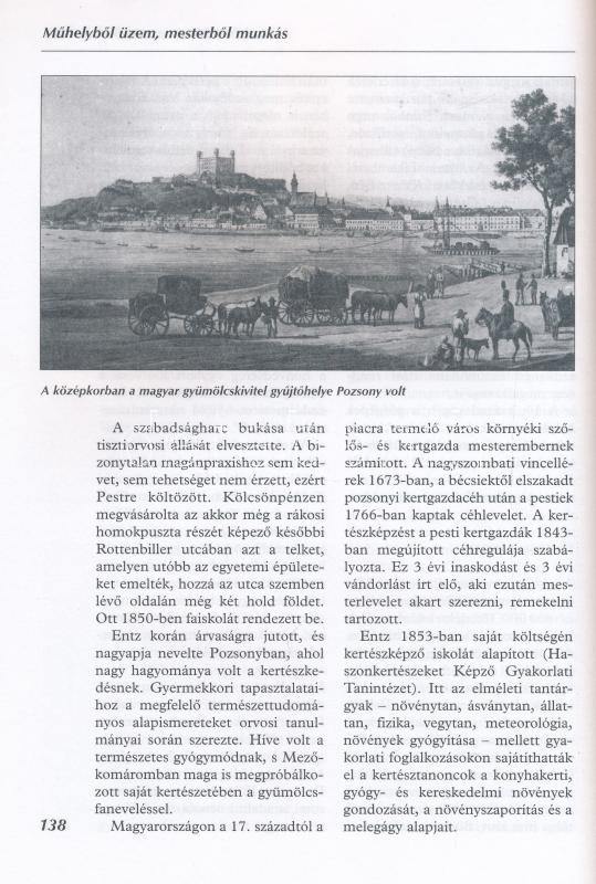 Petrovácz István: Iparkodó magyarok. Gazdaságunk ezer éve. Bp.,2000,Móra. Kiadói kartonált papírkötés. - Image 2