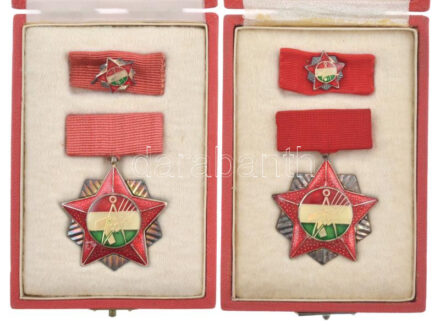 ~1970-1980. 'Szakszervezetek Országos Tanácsa Elnöksége' (2x) ezüst fokozatú, műgyantás kitüntetés mellszalagon, miniatűrrel szalagsávon, eredeti tokban T:1-,2- egyiken sérült műgyanta