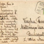 1915 Bősháza, Biusa; Kaizler György kúriája, kastély / villa, castle. photo + 'POSTAI ÜGYN.' - Image 2