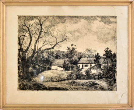 Mészáros Lajos (1925-1971): Öreg fa. Rézkarc, papír, jelzett, foltos, üvegezett fakeretben, 29x38 cm