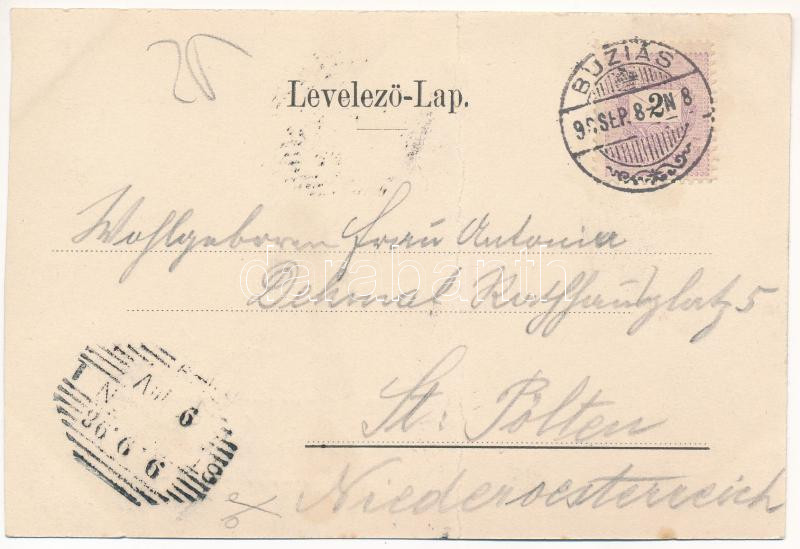 1898 (Vorläufer) Buziásfürdő, Baile Buzias; Gyógyterem, bazár, sétány a meleg fürdőhöz / spa, bazaar, promenade (fa) - Image 2