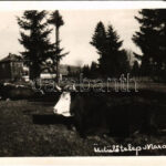 1943 Marosfő, Izvoru Muresului; üdülőtelep szarvasmarhákkal / holiday resort. photo