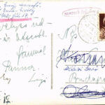 1943 Marosfő, Izvoru Muresului; üdülőtelep szarvasmarhákkal / holiday resort. photo - Image 2