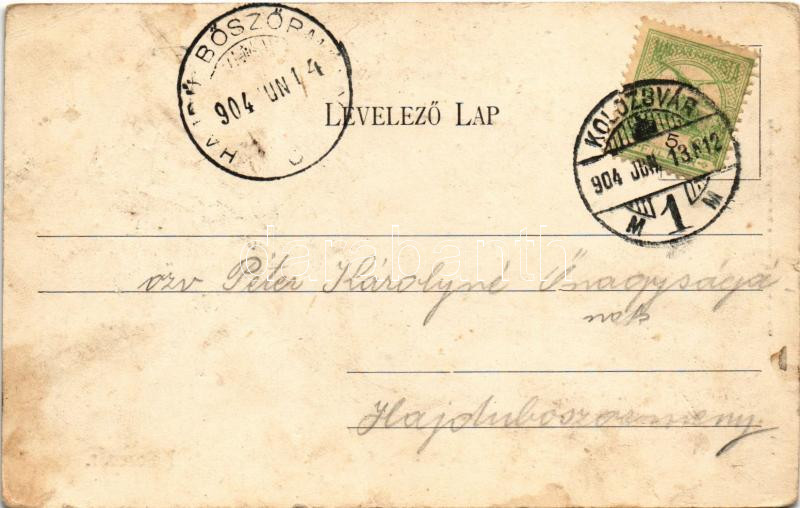 1904 Kolozsvár, Cluj; Központi egyetem. Schuster Emil kiadása / university (tűnyomok / pin marks) - Image 2