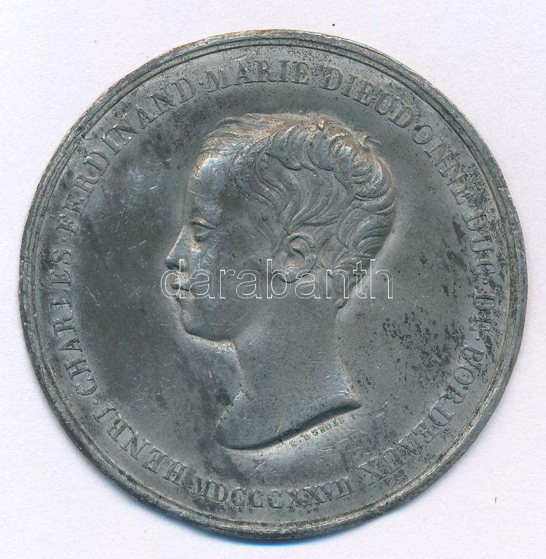 Franciaország DN (1827) 'Henri d'Artois' Sn lemezplakett (51mm) T:2- France ND (1827) 'Henri Charles Ferdinand Marie Dieudonne Duc' Sn plate plaquette (51mm) C:VF