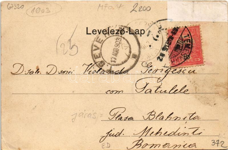1903 Temesvár, Timisoara; Gyárváros, Liget út, villamos / Fabric, street, tram (r) - Image 2