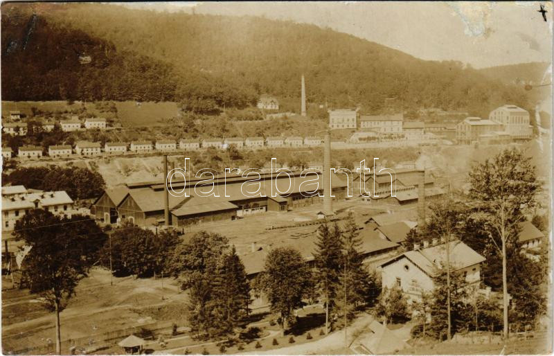 Anina, Stájerlakanina, Steierdorf; vasgyár / iron works, factory. photo (r)