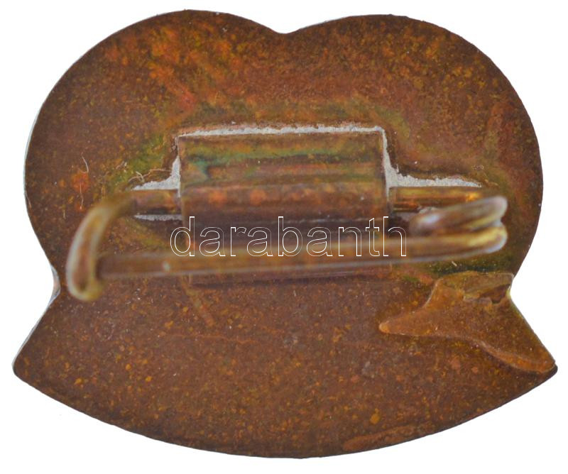 1984. 'Borsodi Vegyi kombinát bronz fokozatú törzsgárda-jelvény' műgyantás bronz kitűző névre szóló adományozólappal (12x15mm) T:1- lapon ütődésnyomok - Image 2