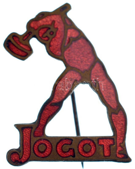 DN 'Jogot' munkásmozgalmi zománcozott fém jelvény (20x25mm) T:1-