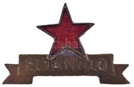 ~1950. 'Éltanuló' műgyantás bronz jelvény (30x20mm) T:2