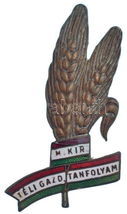 ~1930. 'Magyar Királyi Téli Gazd. Tanfolyam' zománcozott bronz jelvény (25x45mm) T:2 zománchiba