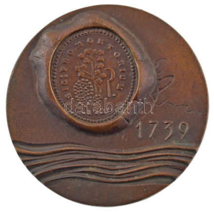 1989. 'Budafok alapításának 25. évfordulójára' kétoldalas bronz emlékérem (81mm) T:1- folt