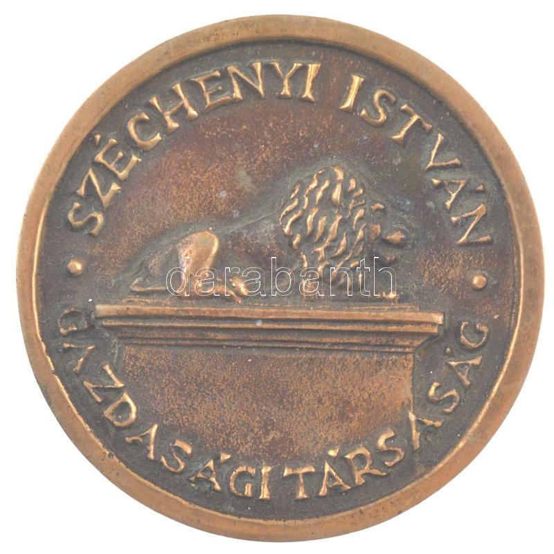 DN 'Széchenyi István Gazdasági Társaság / Magyar Hitelbank Rt.' kétoldalas bronz emlékérem (74mm) T:1-