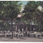1911 Braila, Bufetul din Gradina Publica / buffet at the park, restaurant, garden with waiters and guests (wet damage)